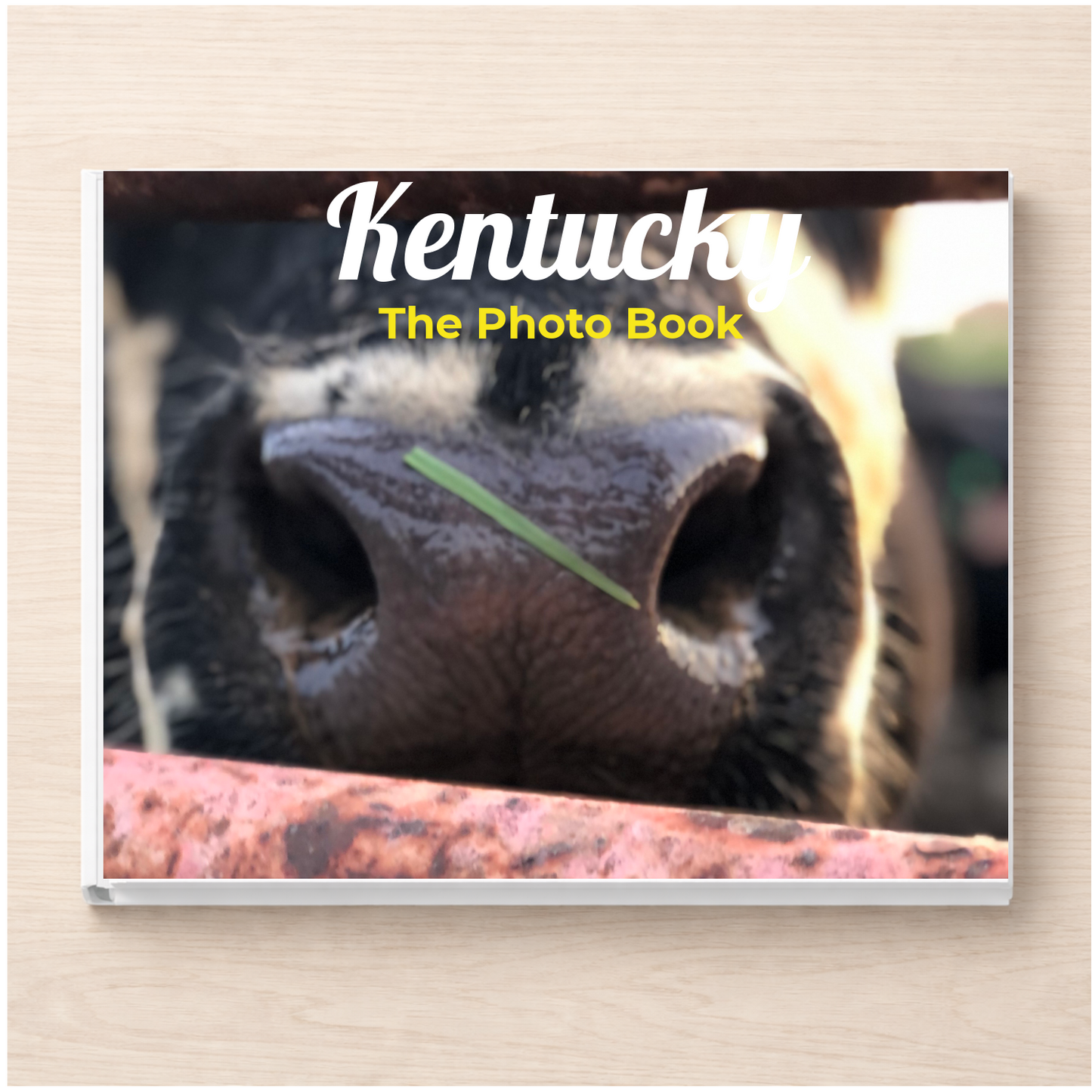 Kentucky: The Photo Book