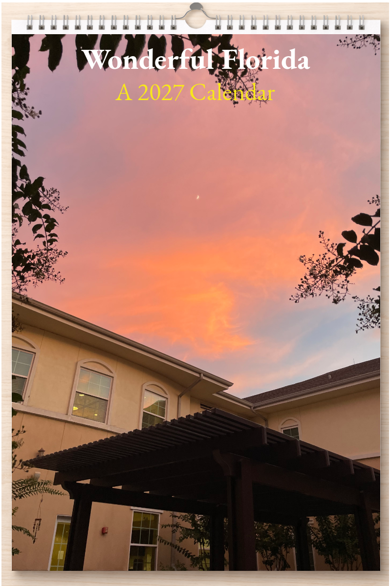 Wonderful Florida: A 2027 Calendar
