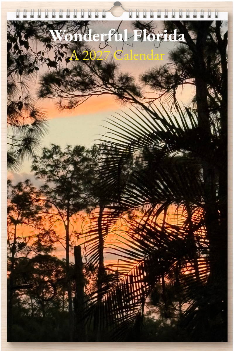 Wonderful Florida: A 2027 Calendar