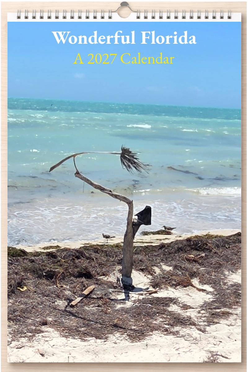 Wonderful Florida: A 2027 Calendar