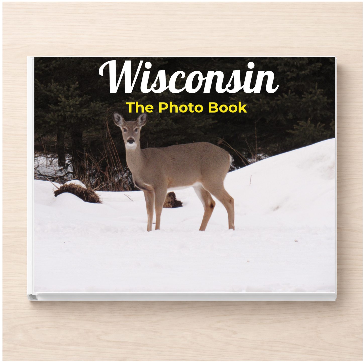Wisconsin: The Photo Book