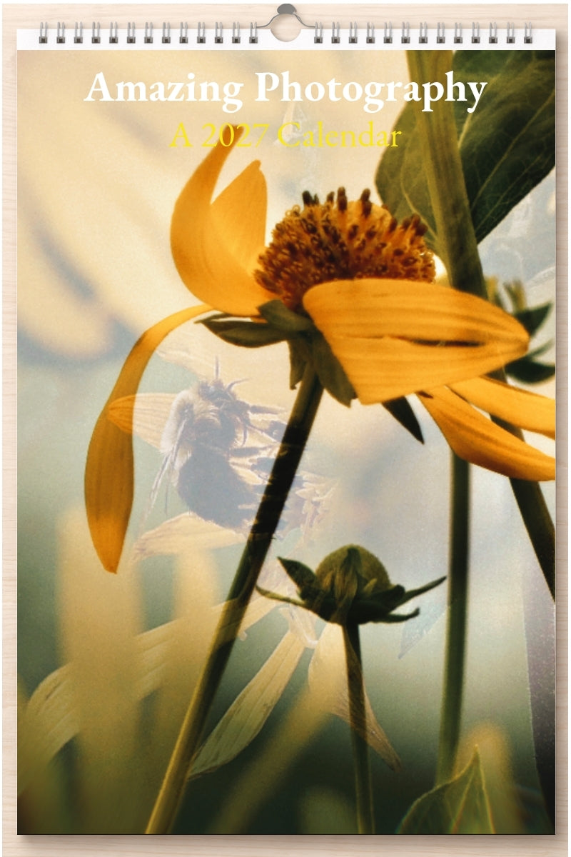 Amazing Photography: A 2027 Calendar