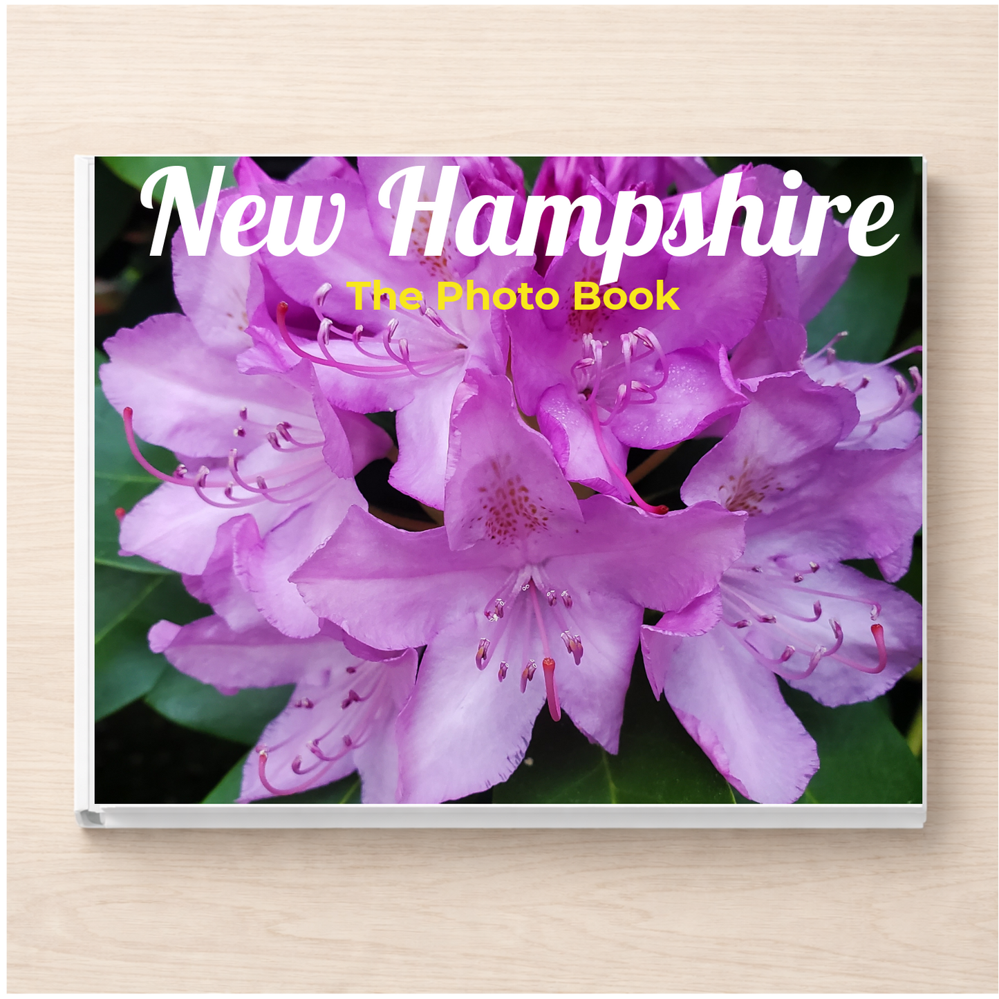 New Hampshire: The Photo Book