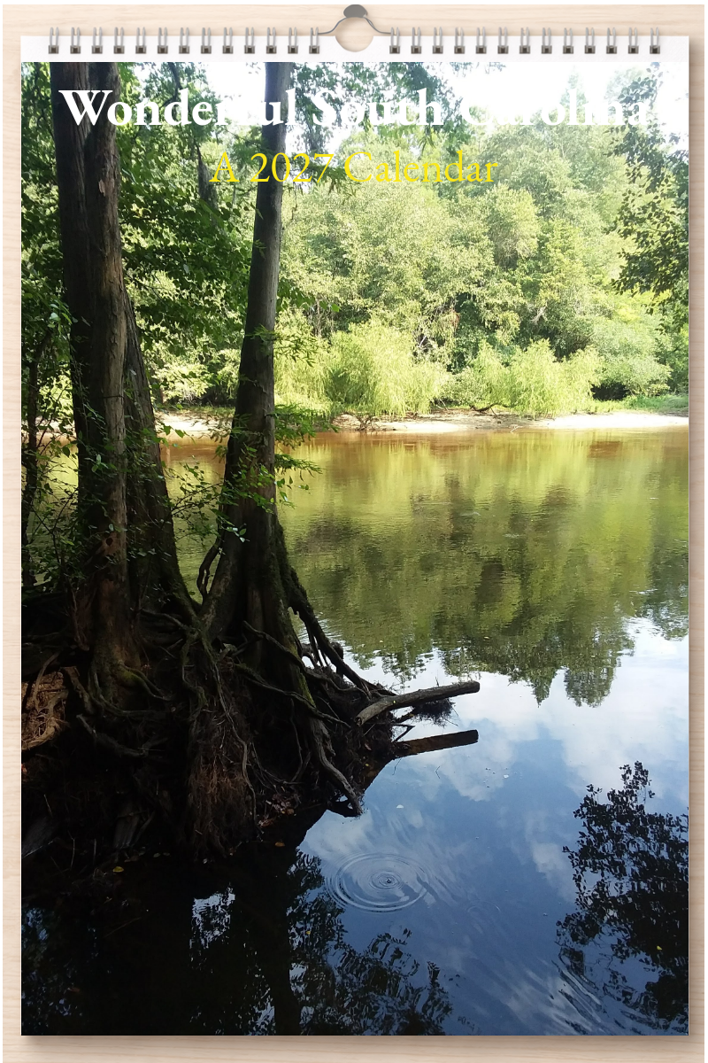 Wonderful South Carolina: A 2027 Calendar