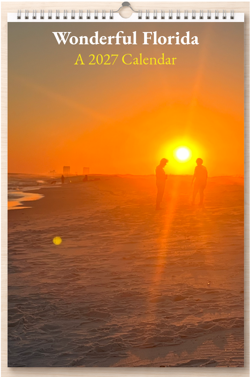 Wonderful Florida: A 2027 Calendar