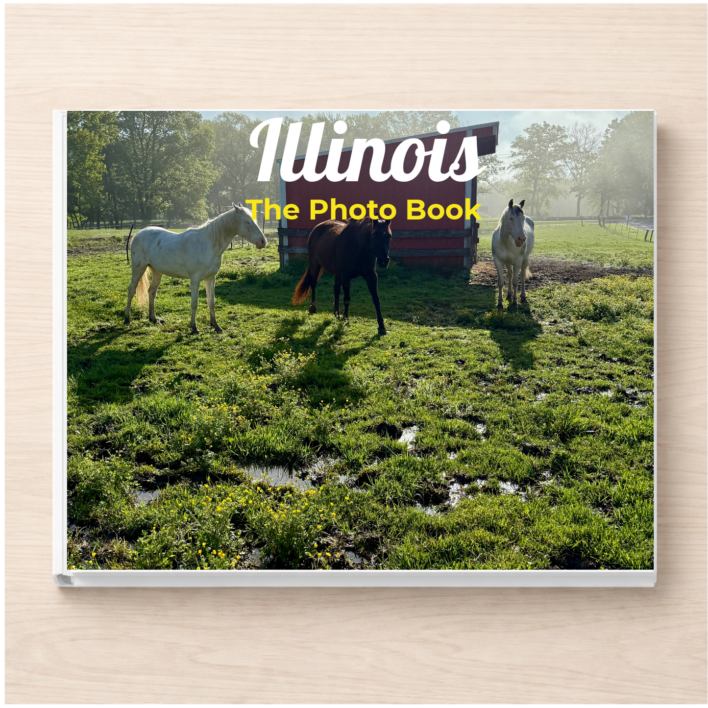 Illinois: The Photo Book