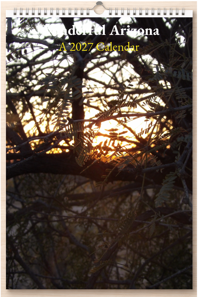 Wonderful Arizona: A 2027 Calendar