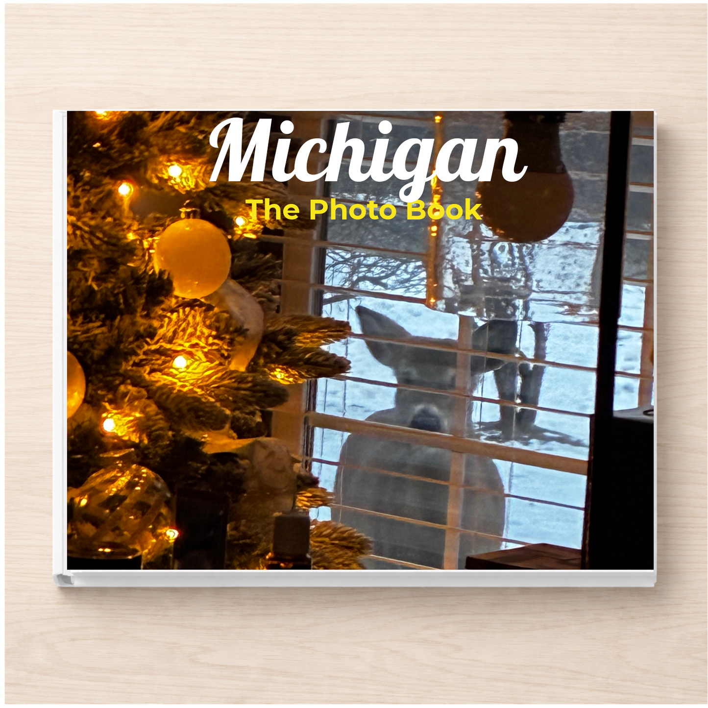 Michigan: The Photo Book