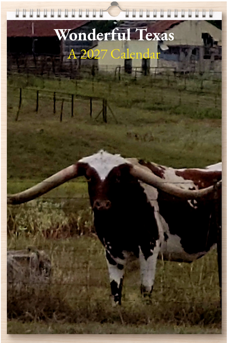 Wonderful Texas: A 2027 Calendar