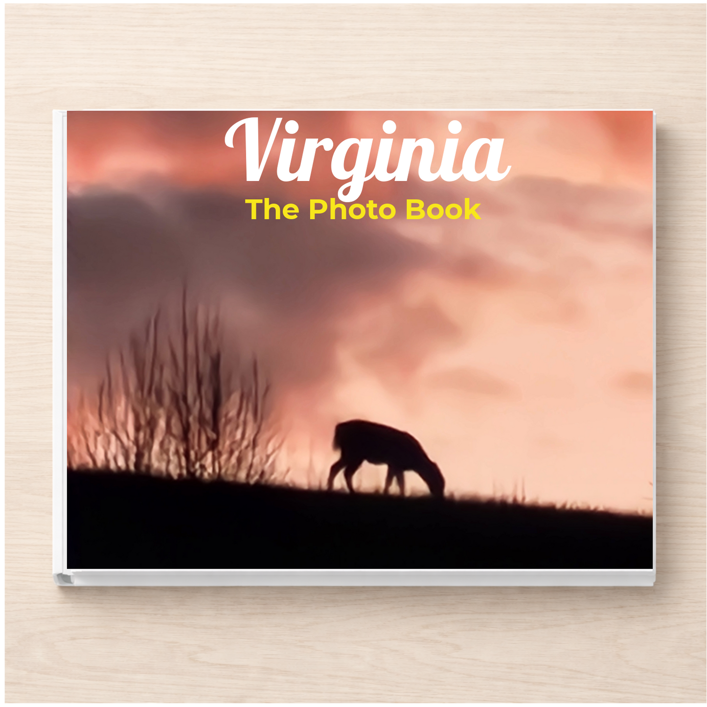 Virginia: The Photo Book