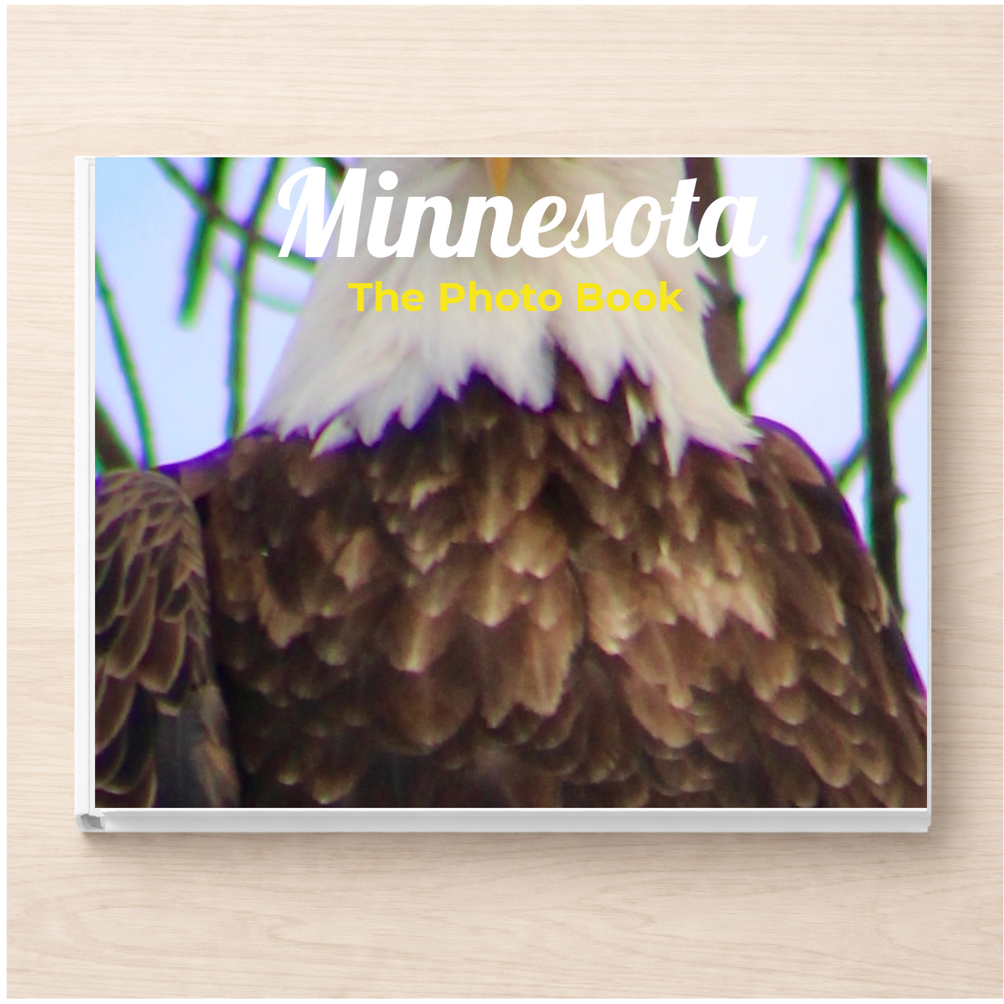 Minnesota: The Photo Book