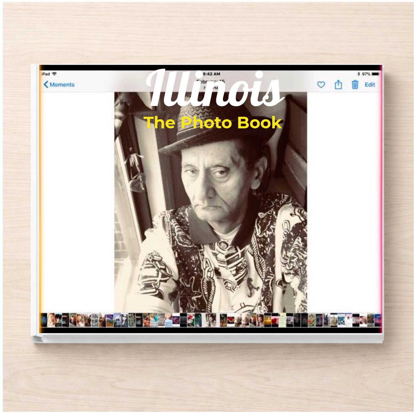 Illinois: The Photo Book