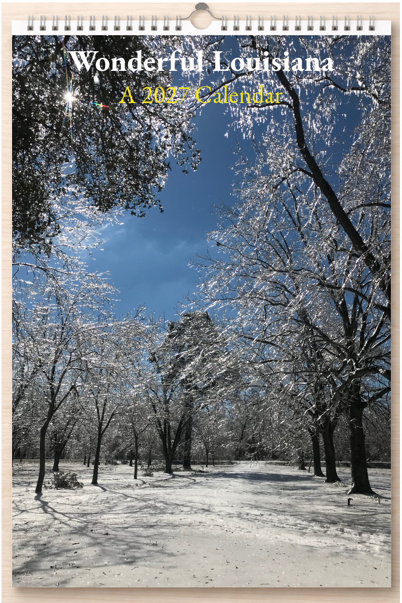 Wonderful Louisiana: A 2027 Calendar