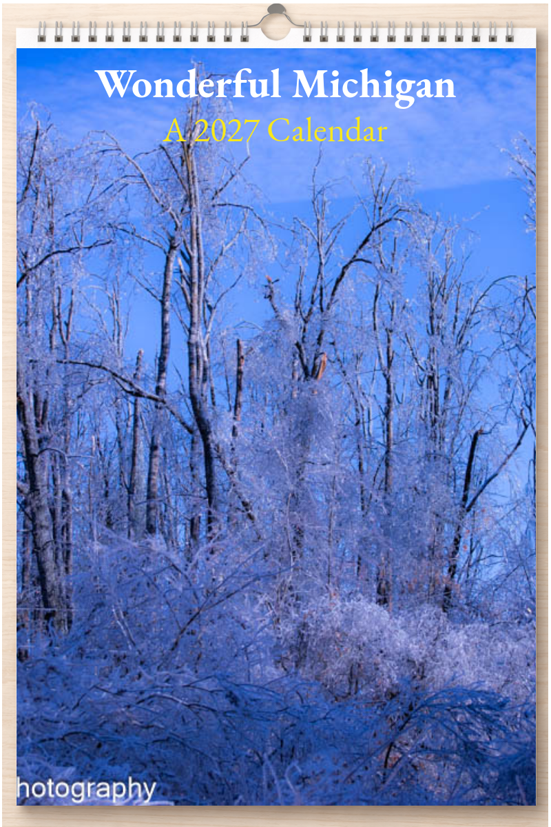 Wonderful Michigan: A 2027 Calendar