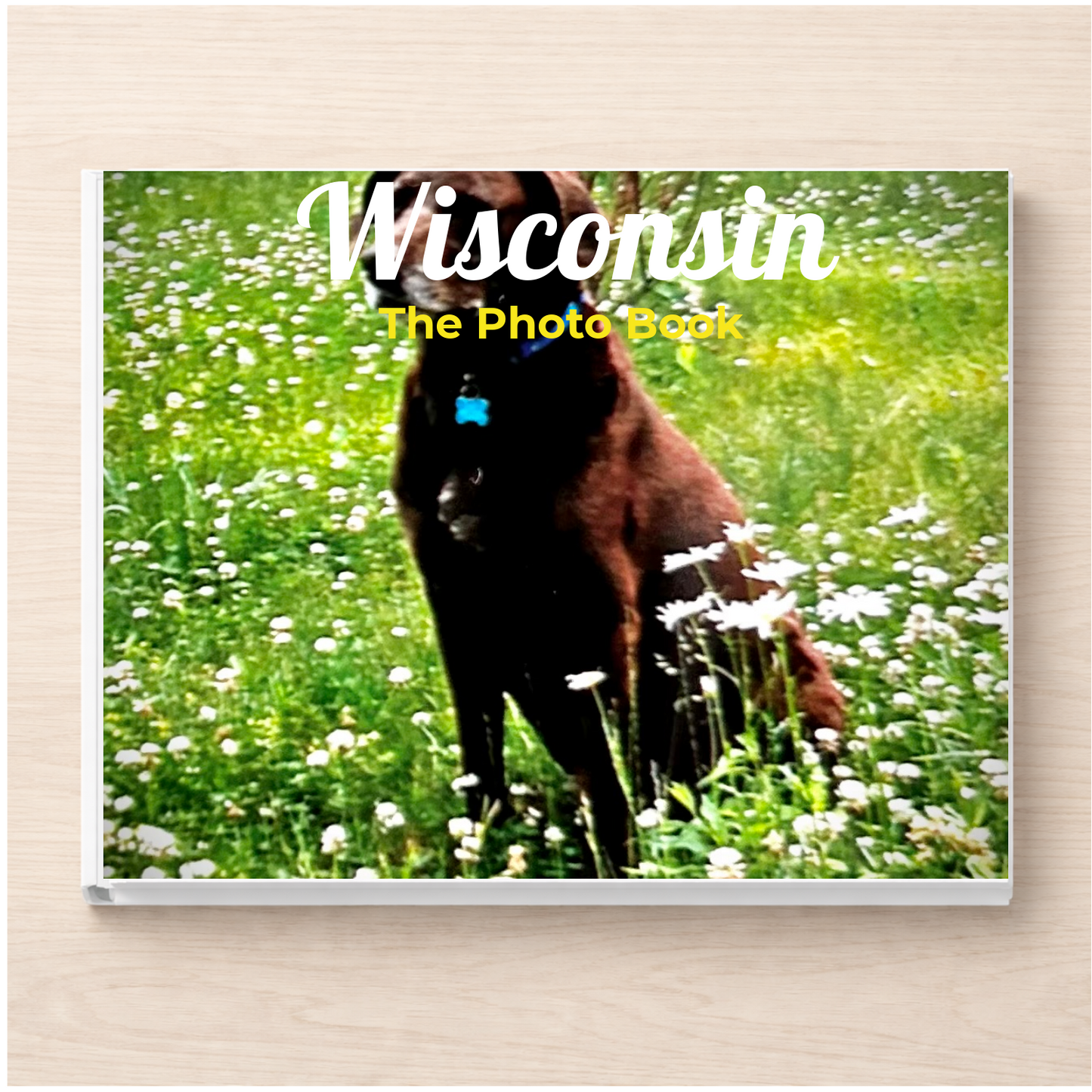 Wisconsin: The Photo Book