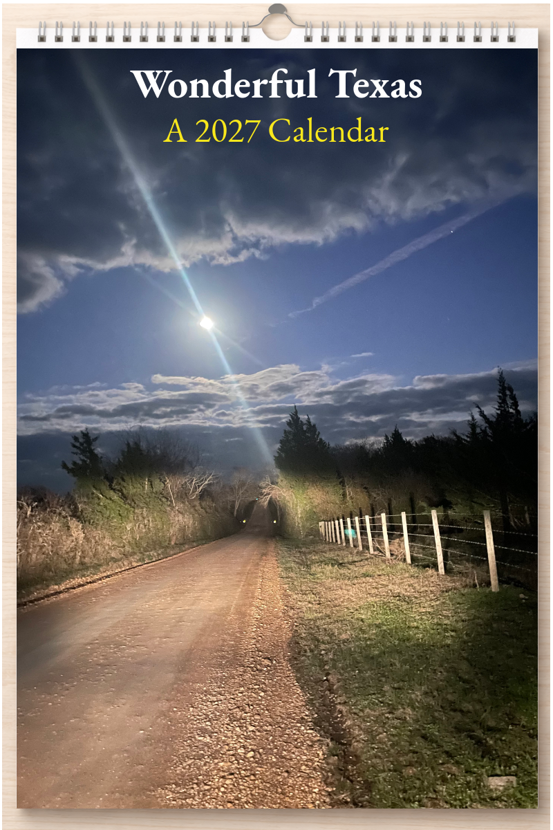 Wonderful Texas: A 2027 Calendar