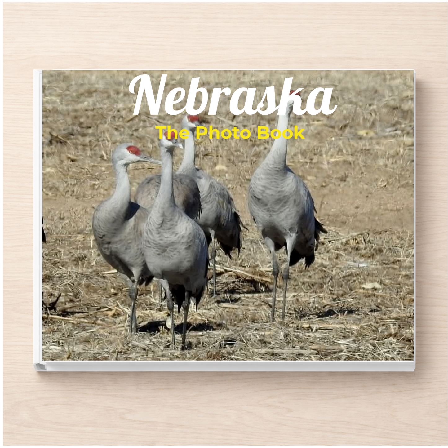 Nebraska: The Photo Book