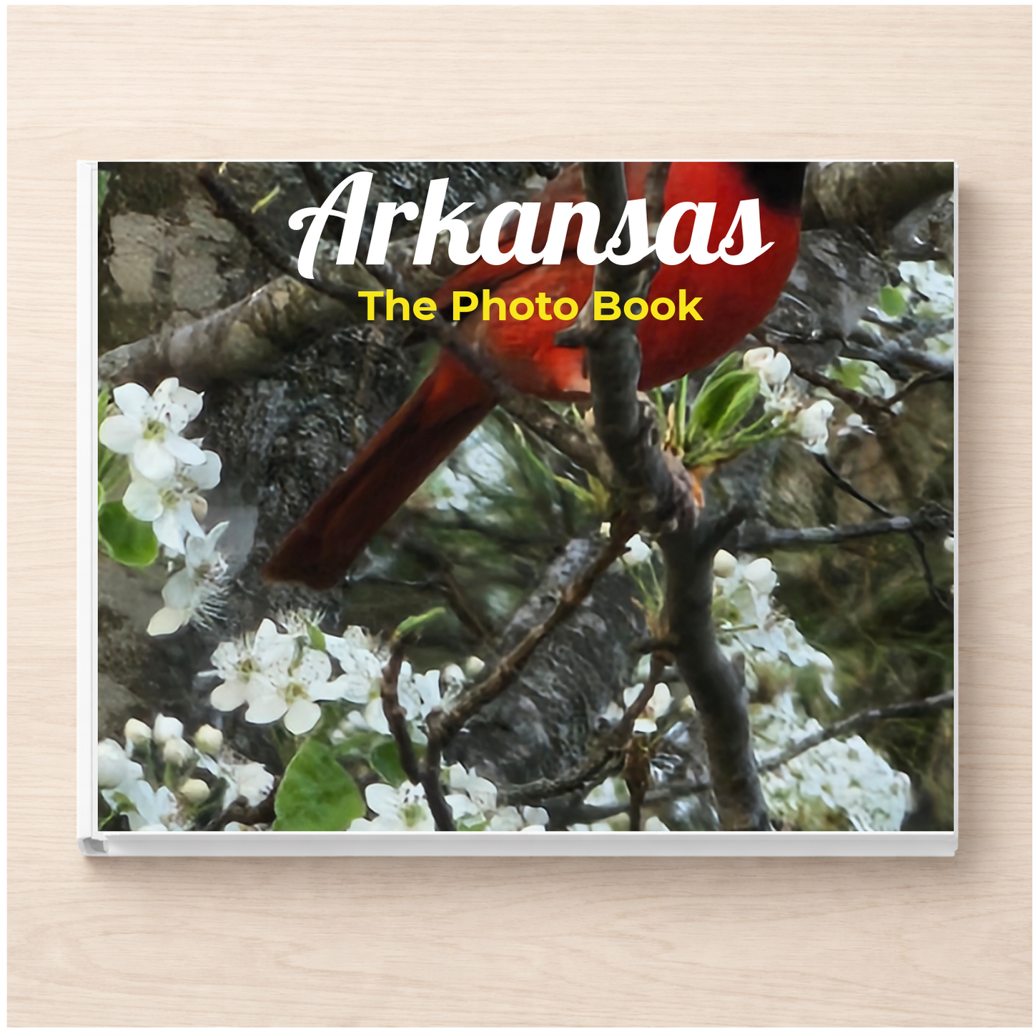 Arkansas: The Photo Book