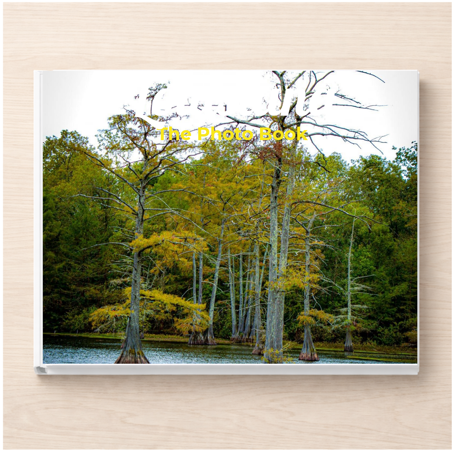 Louisiana: The Photo Book