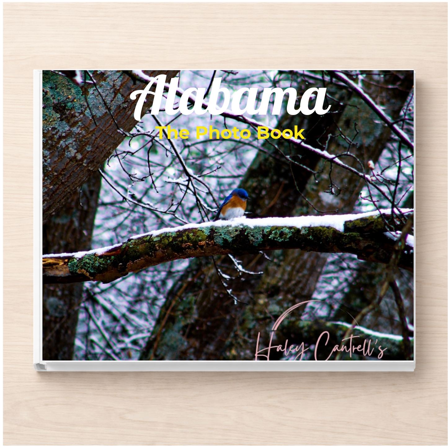 Alabama: The Photo Book