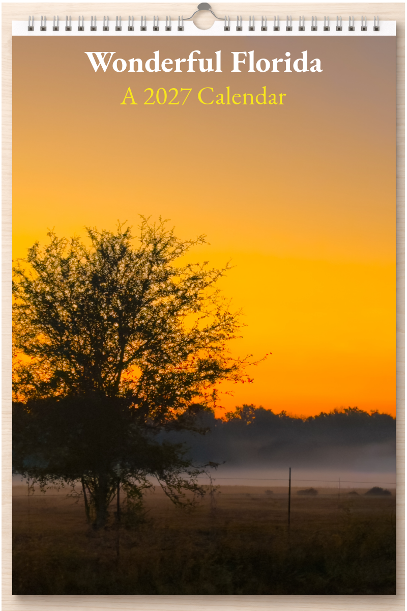 Wonderful Florida: A 2027 Calendar