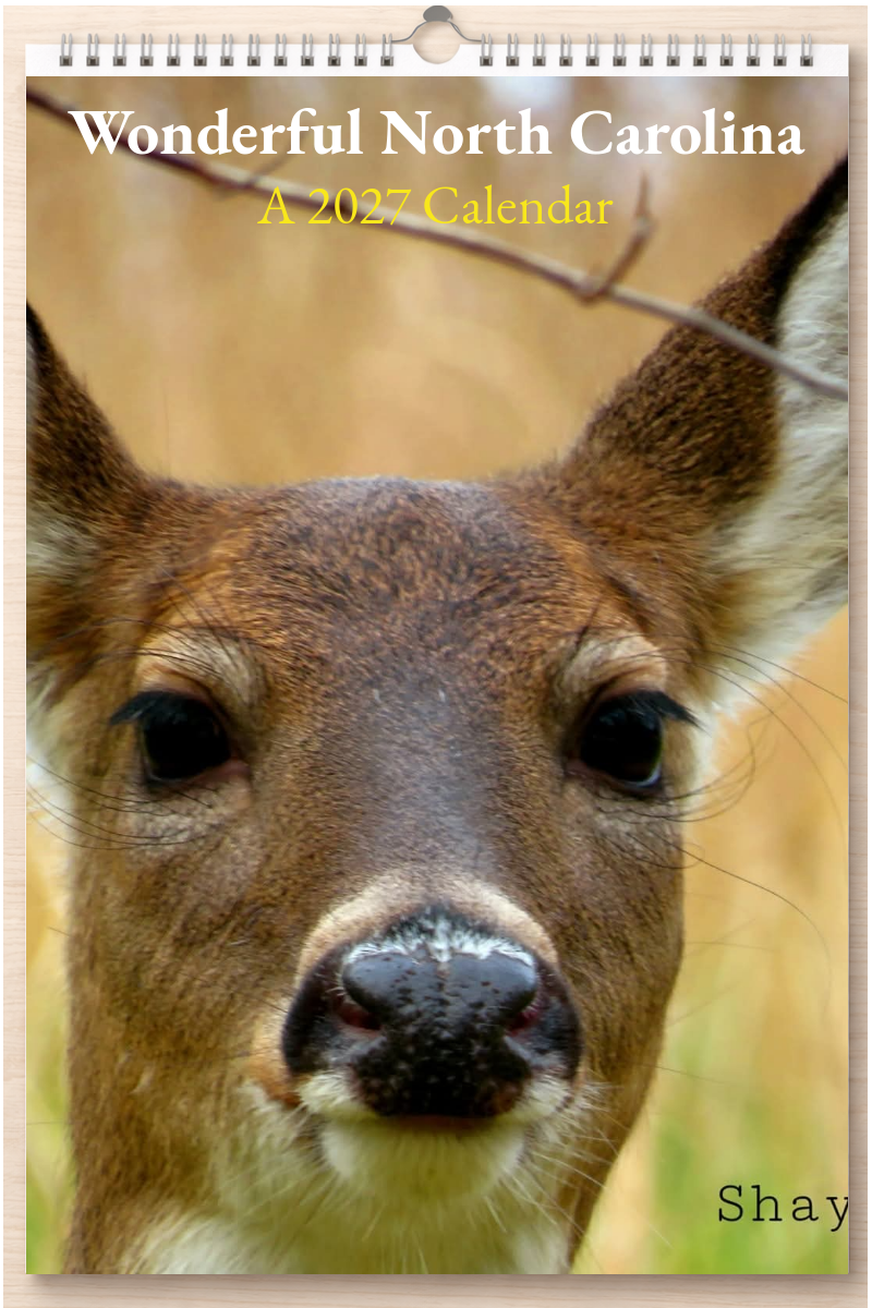 Wonderful North Carolina: A 2027 Calendar