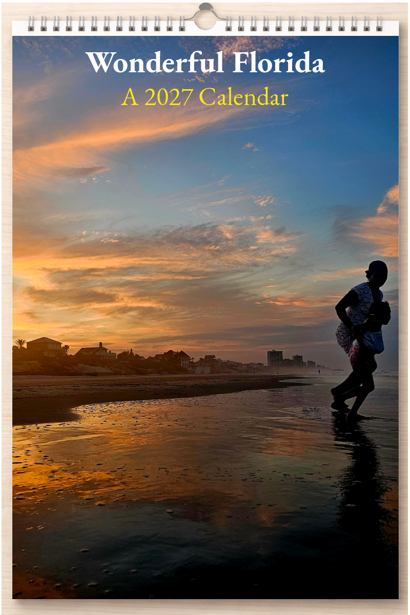 Wonderful Florida: A 2027 Calendar