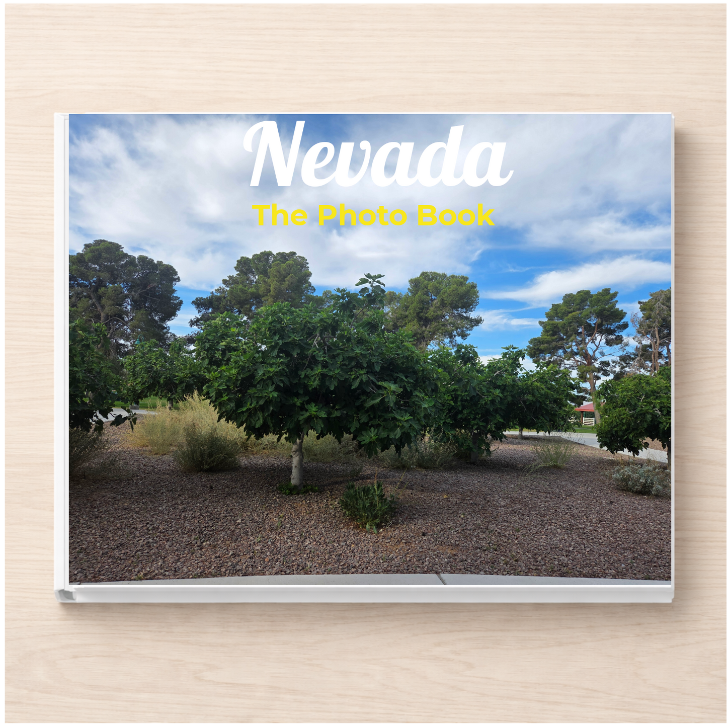 Nevada: The Photo Book