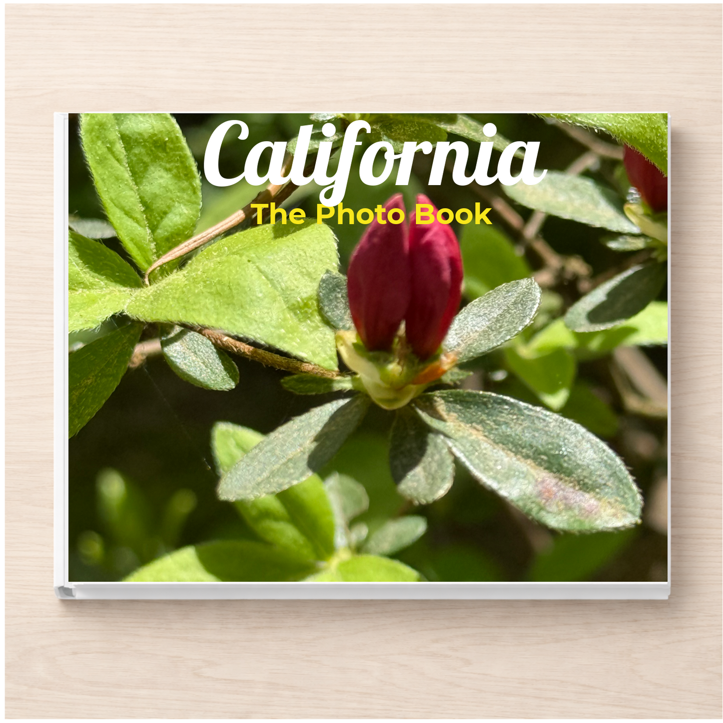California: The Photo Book