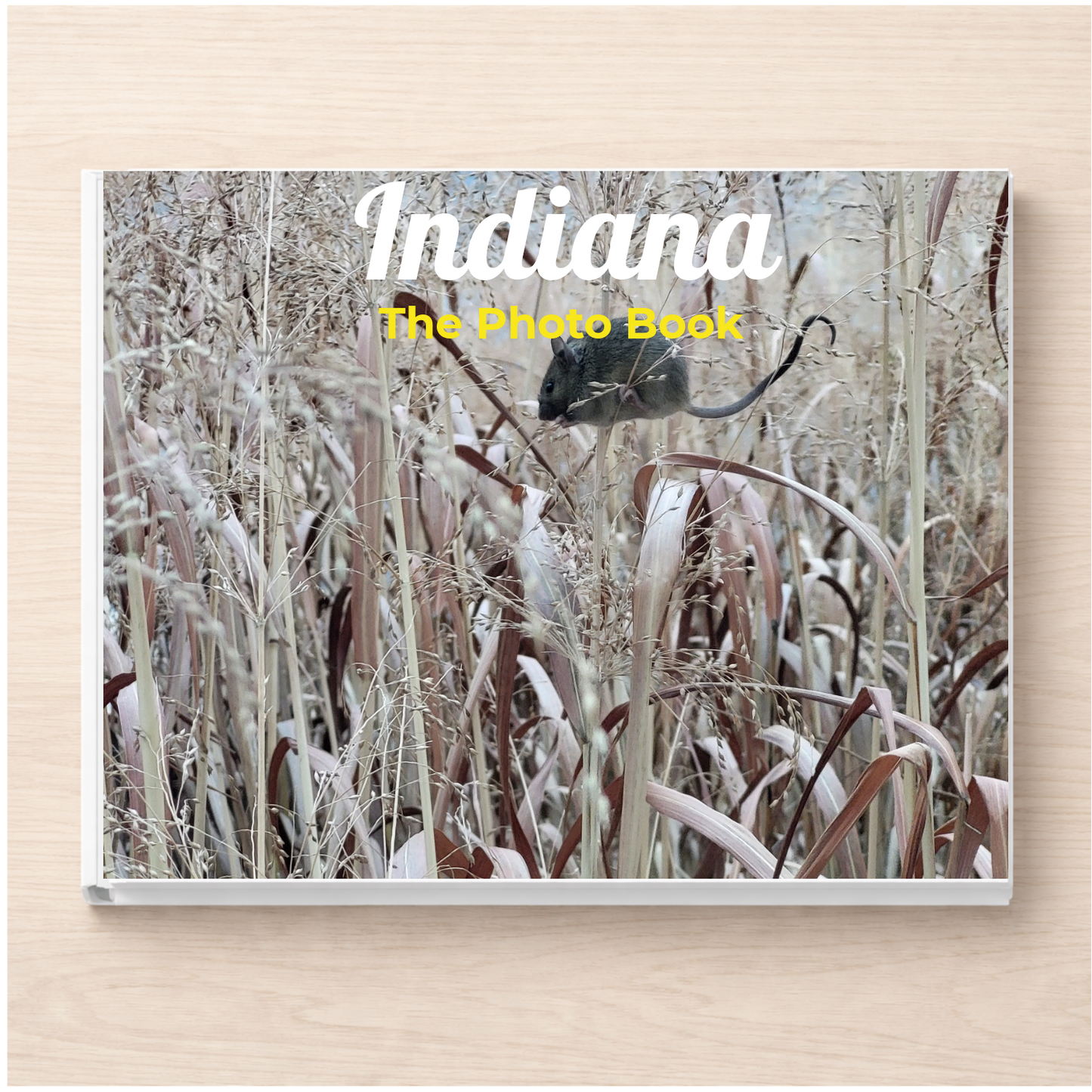 Indiana: The Photo Book