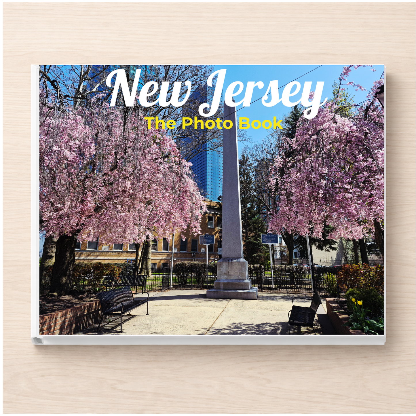 New Jersey: The Photo Book