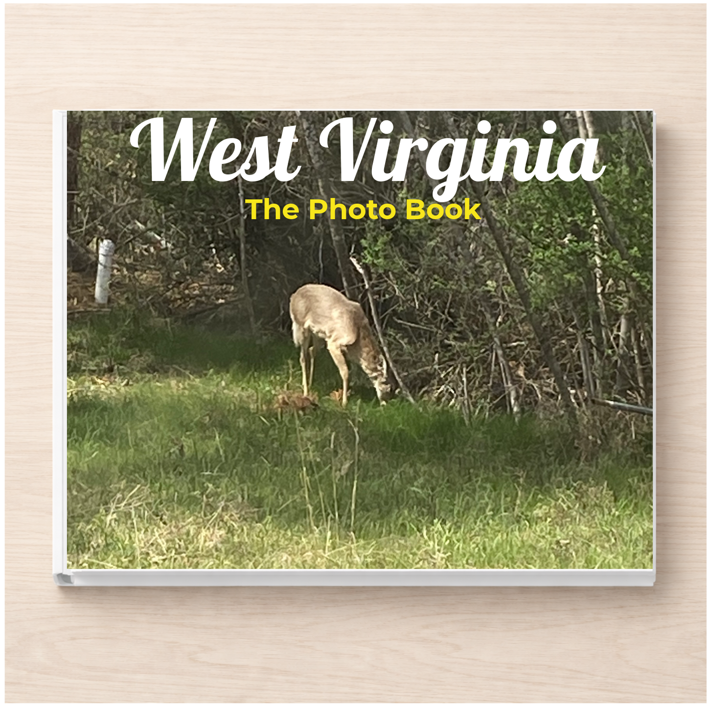 West Virginia: The Photo Book