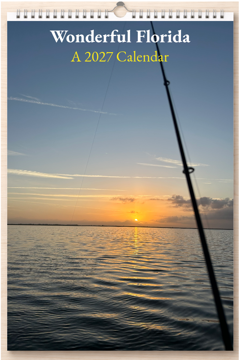 Wonderful Florida: A 2027 Calendar