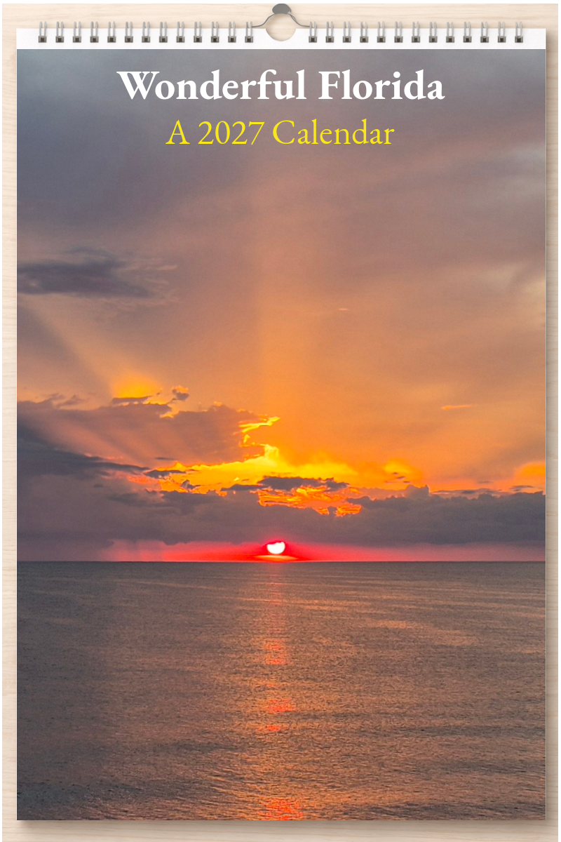 Wonderful Florida: A 2027 Calendar