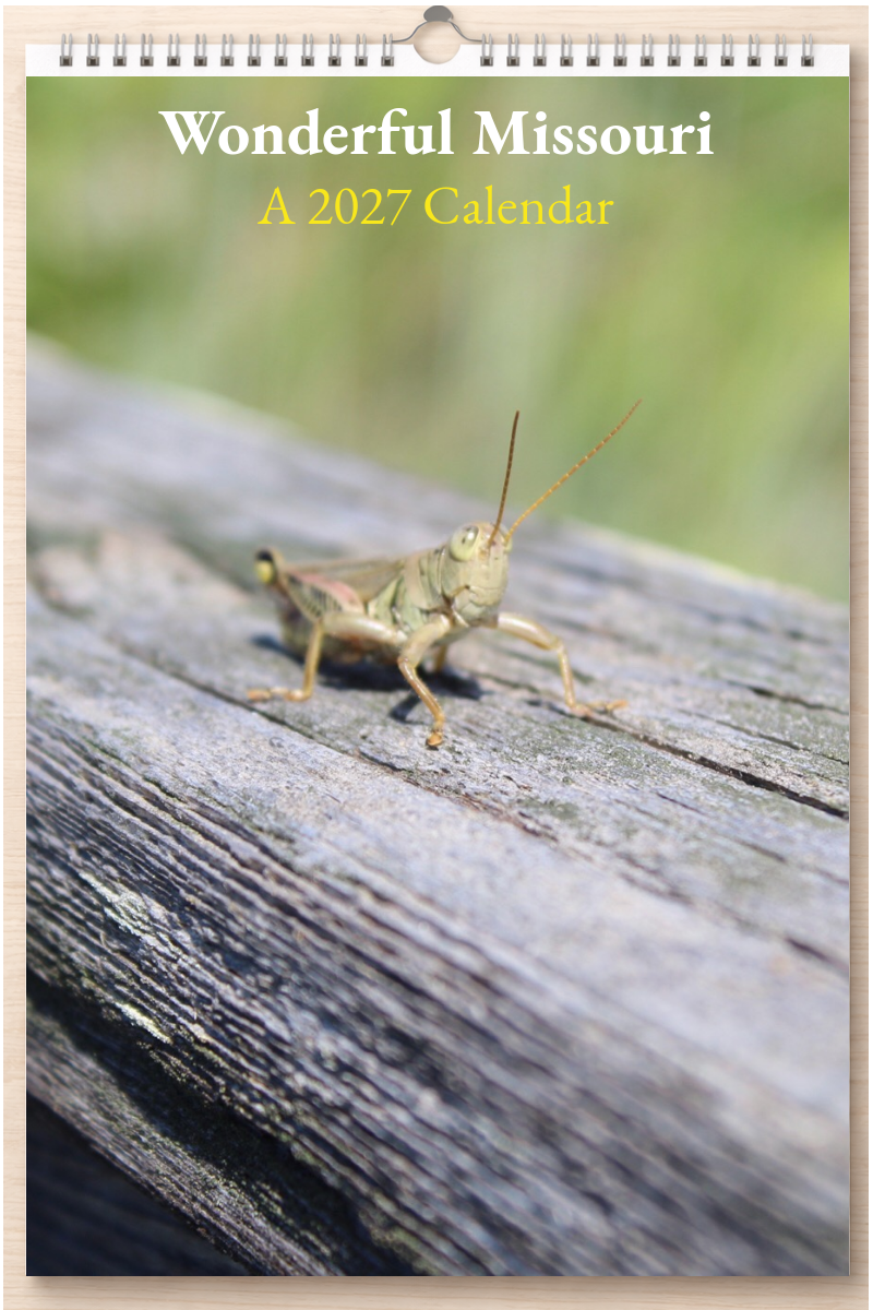 Wonderful Missouri: A 2027 Calendar
