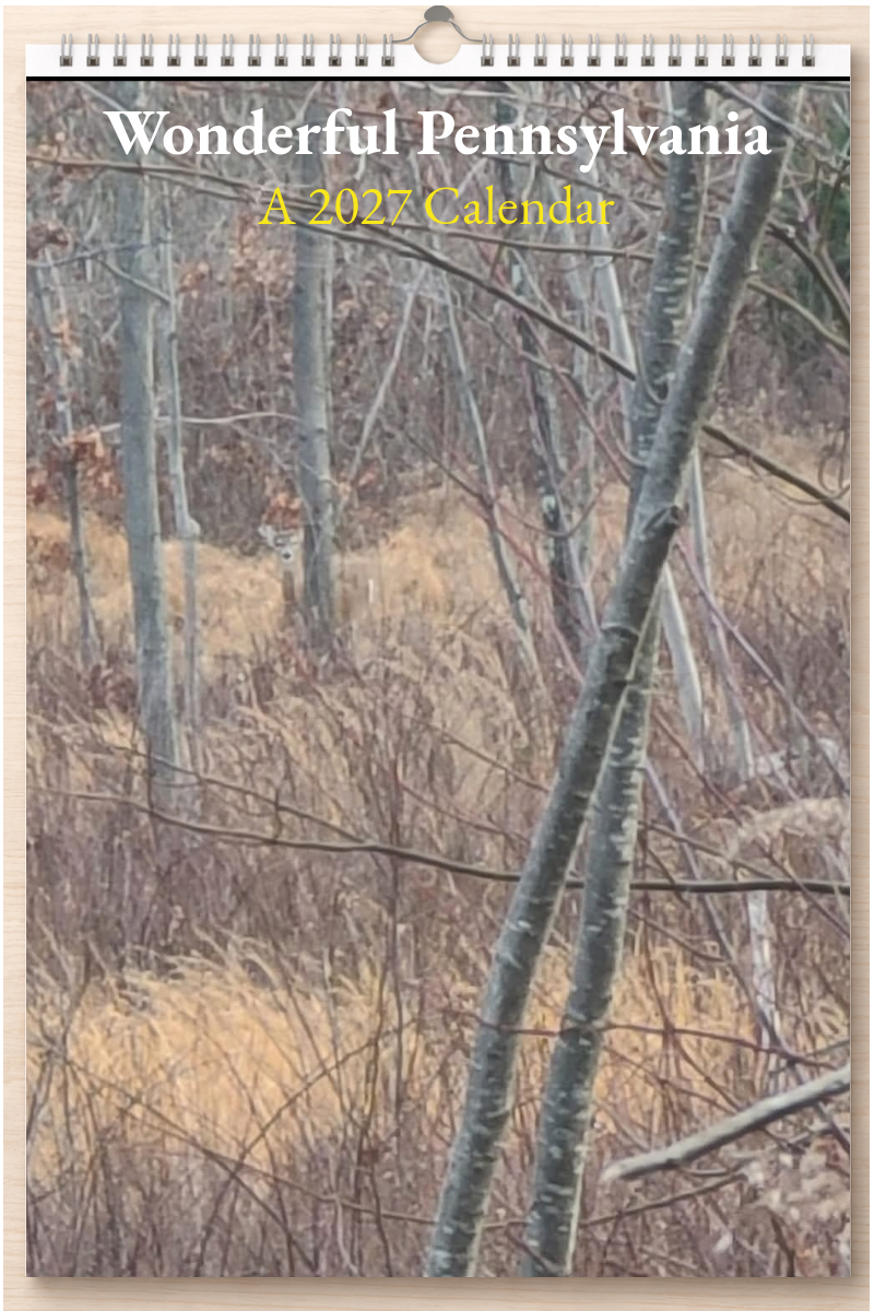 Wonderful Pennsylvania: A 2027 Calendar