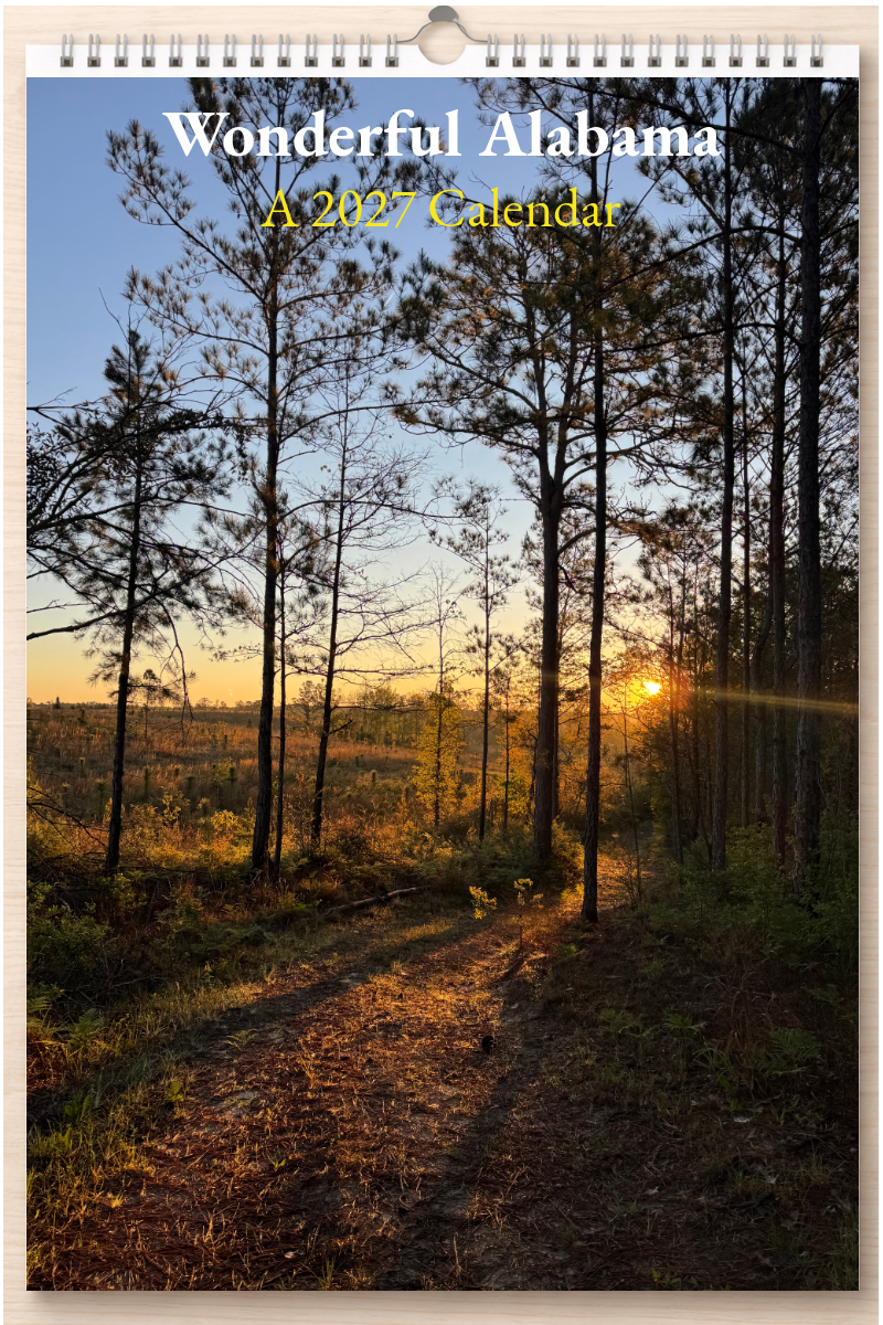 Wonderful Alabama: A 2027 Calendar