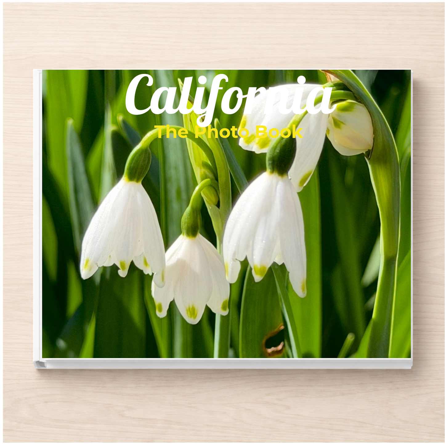 California: The Photo Book