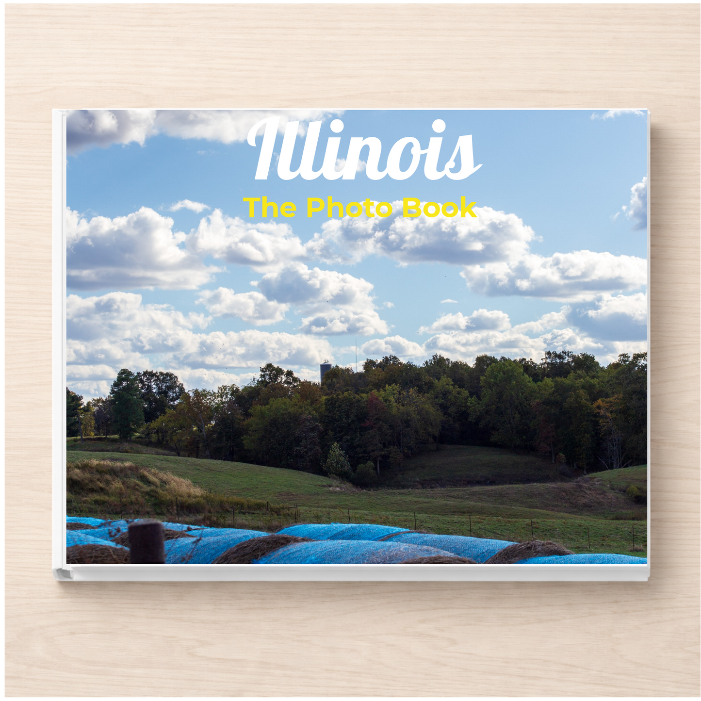 Illinois: The Photo Book