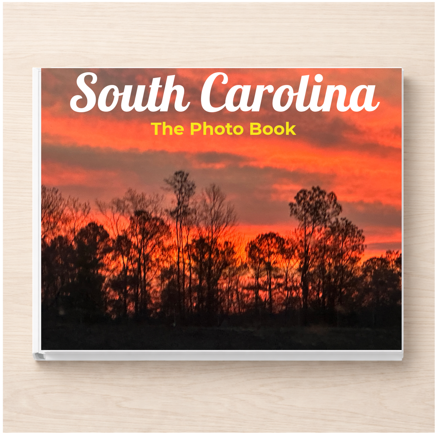 South Carolina: The Photo Book