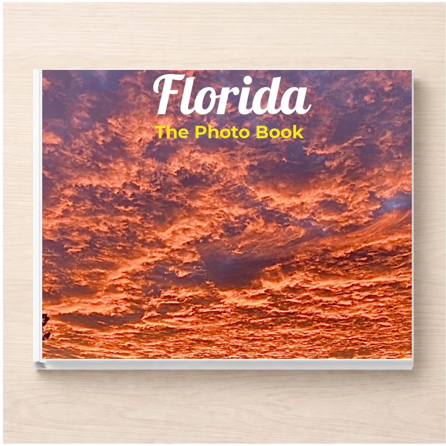 Florida: The Photo Book