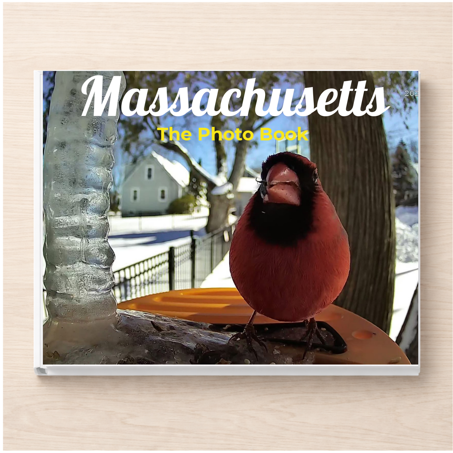 Massachusetts: The Photo Book