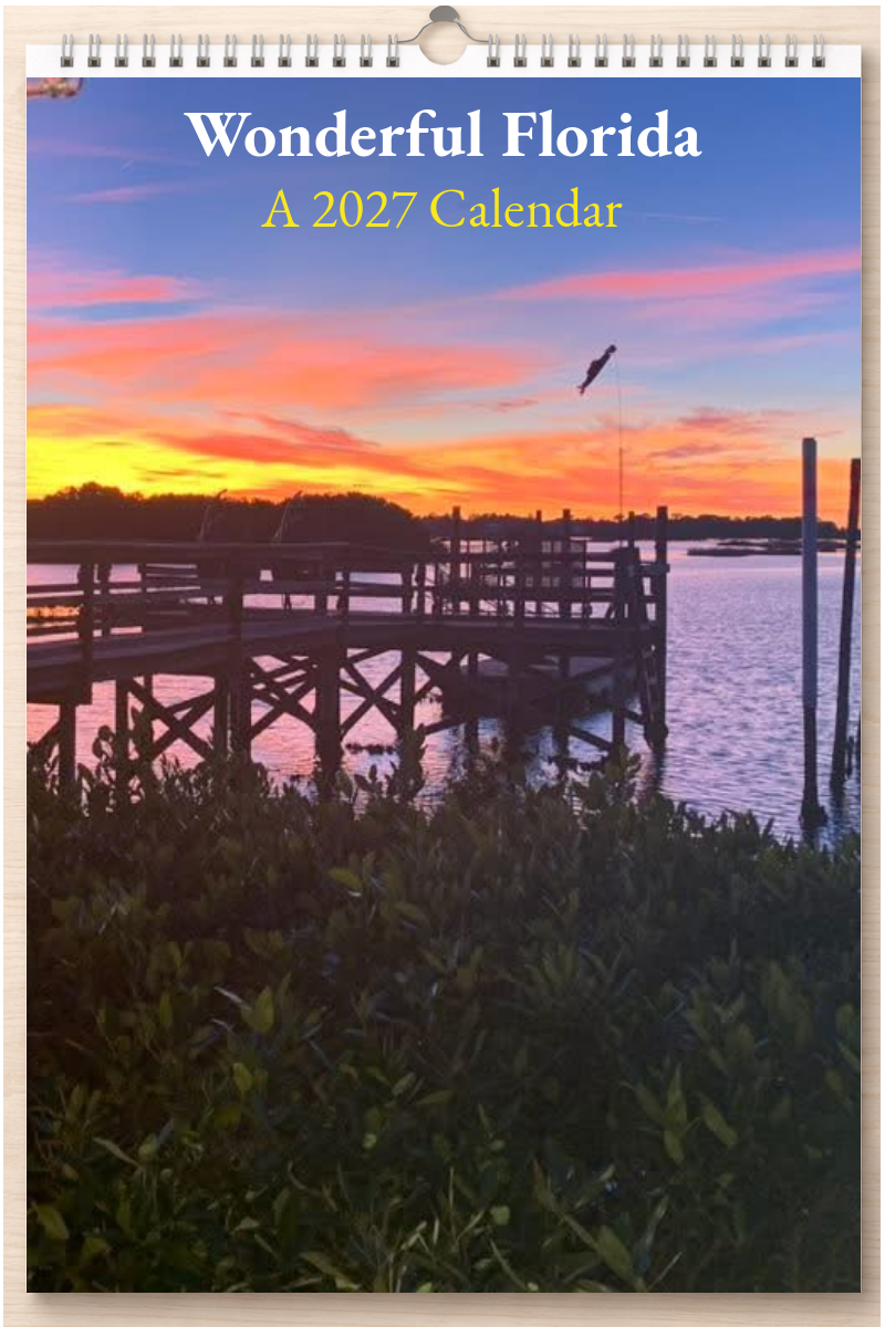 Wonderful Florida: A 2027 Calendar
