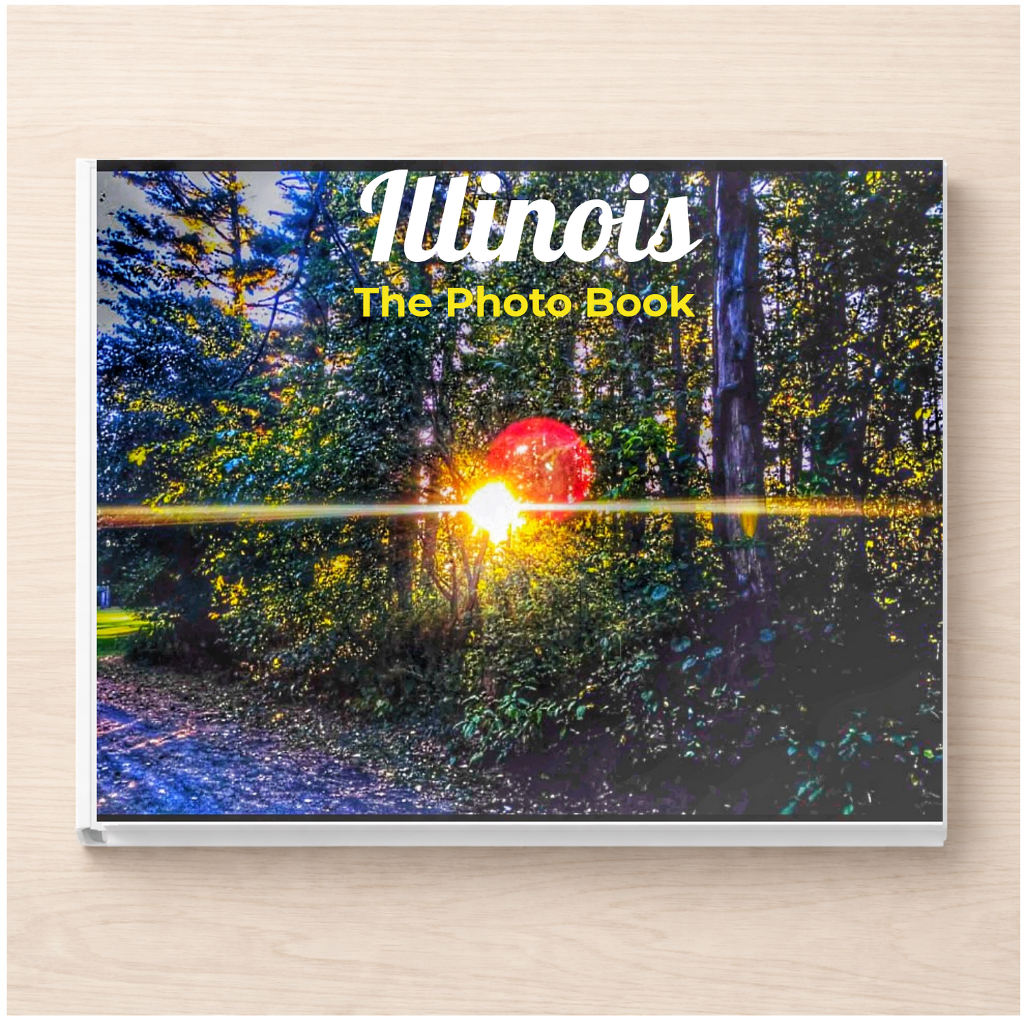 Illinois: The Photo Book