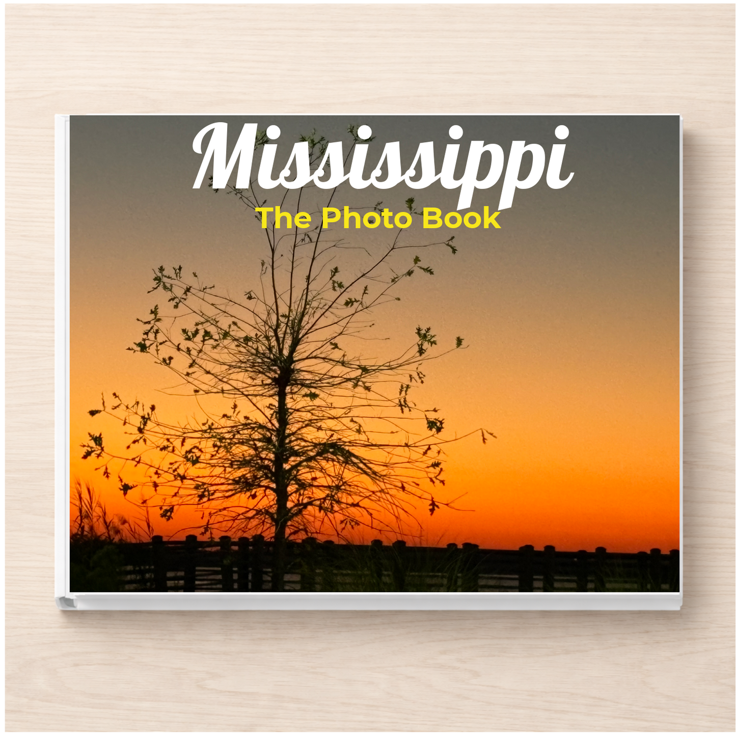 Mississippi: The Photo Book