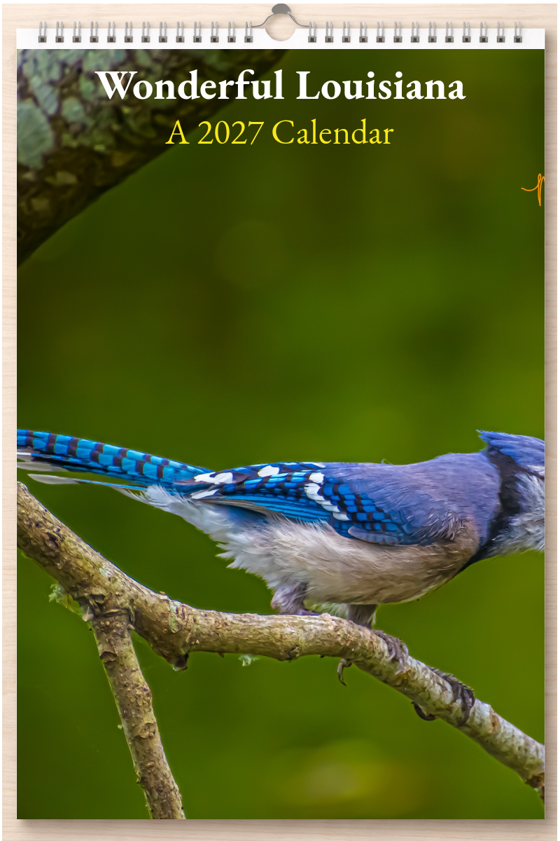 Wonderful Louisiana: A 2027 Calendar
