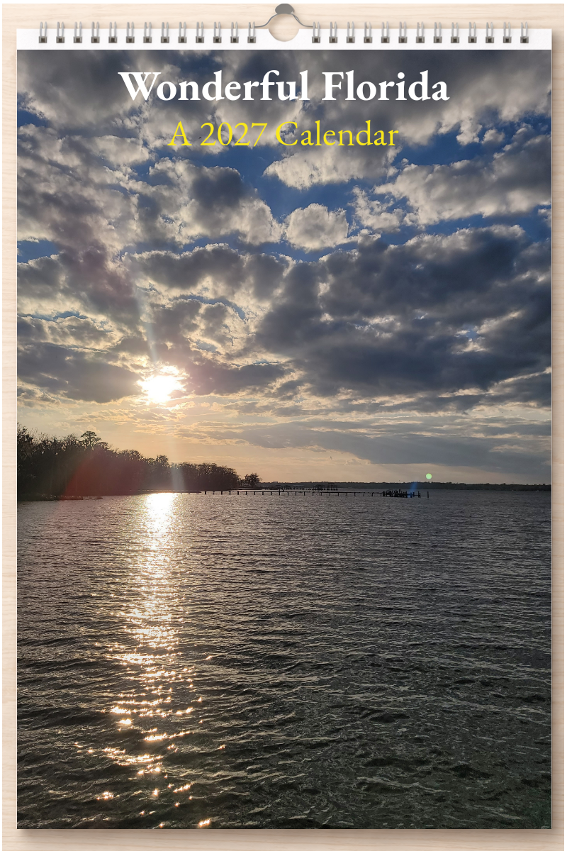 Wonderful Florida: A 2027 Calendar