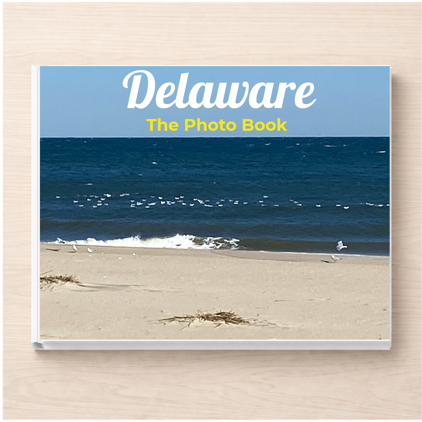 Delaware: The Photo Book
