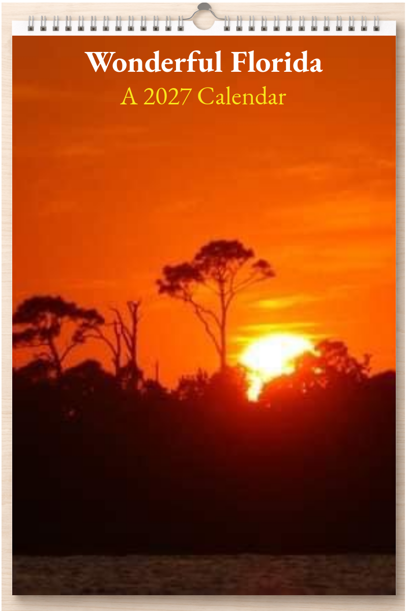 Wonderful Florida: A 2027 Calendar
