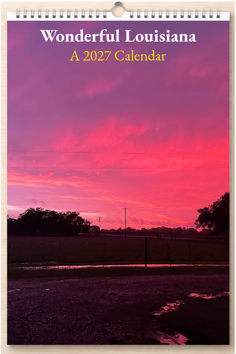 Wonderful Louisiana: A 2027 Calendar
